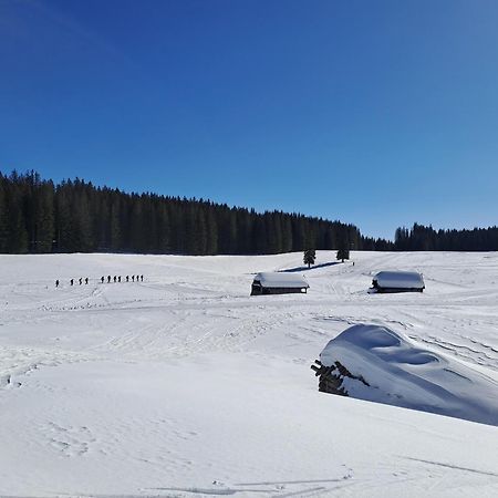 Villa Pokljuka Zgornje Gorje Dış mekan fotoğraf