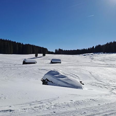 Villa Pokljuka Zgornje Gorje Dış mekan fotoğraf