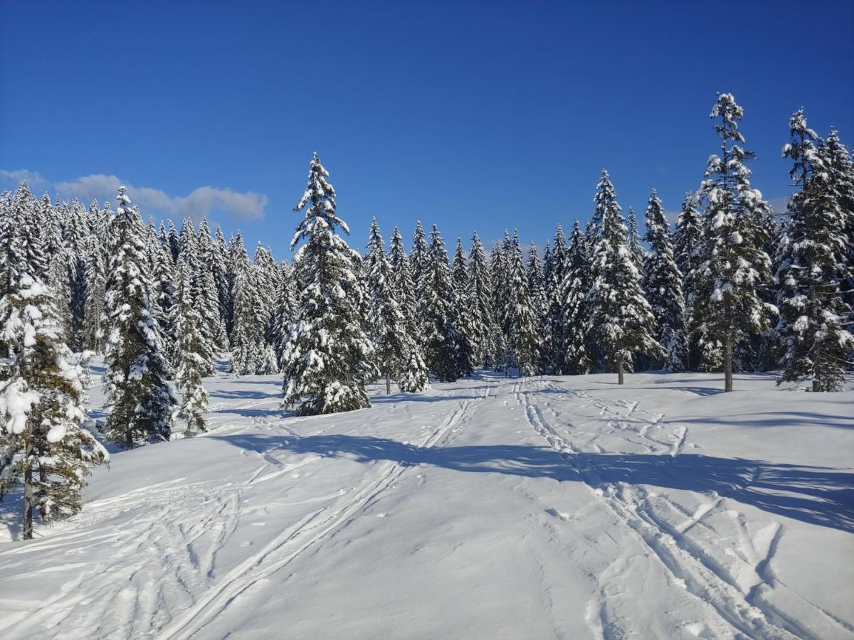 Villa Pokljuka Zgornje Gorje Dış mekan fotoğraf