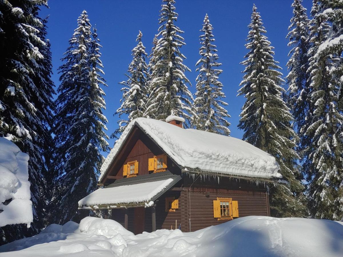 Villa Pokljuka Zgornje Gorje Dış mekan fotoğraf