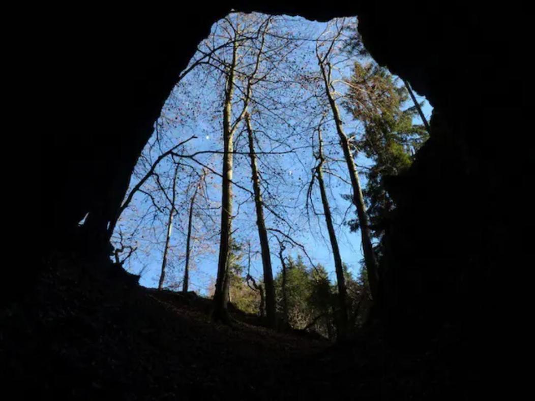 Villa Pokljuka Zgornje Gorje Dış mekan fotoğraf