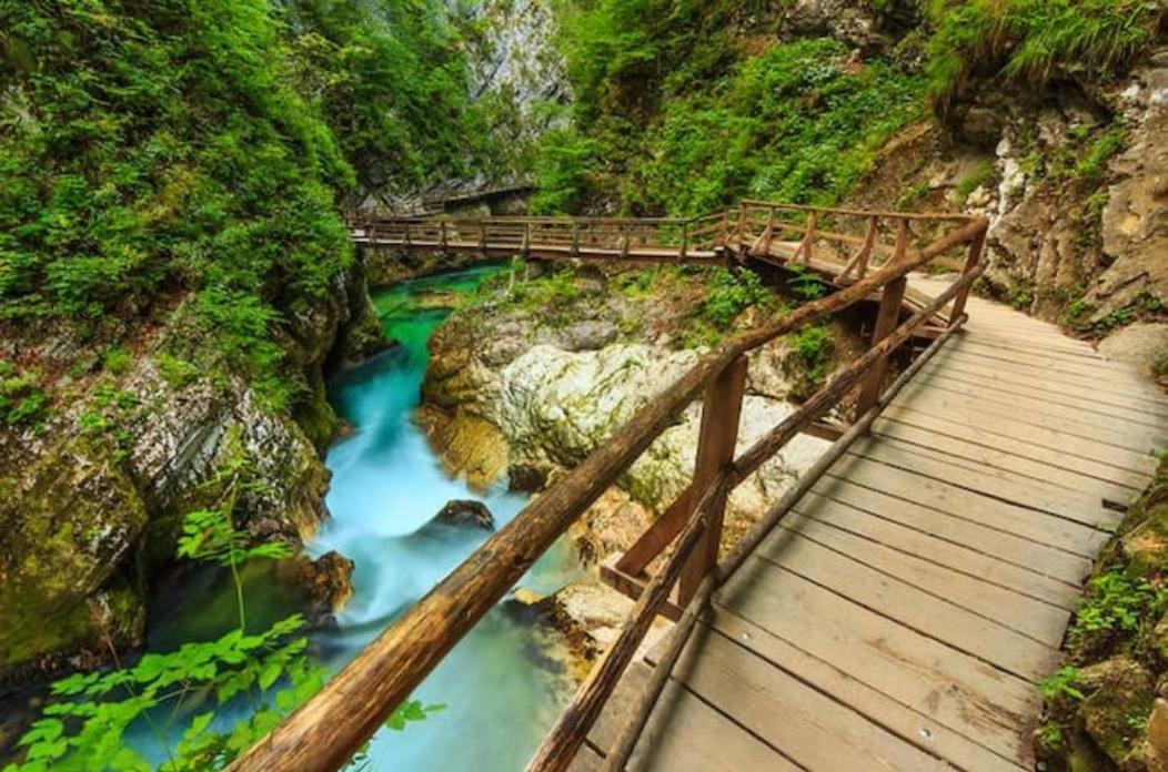 Villa Pokljuka Zgornje Gorje Dış mekan fotoğraf