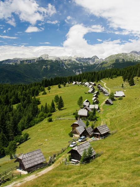 Villa Pokljuka Zgornje Gorje Dış mekan fotoğraf
