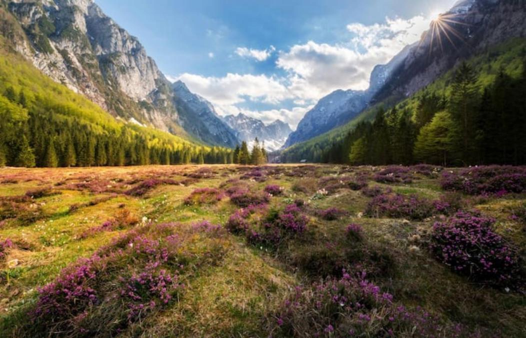 Villa Pokljuka Zgornje Gorje Dış mekan fotoğraf