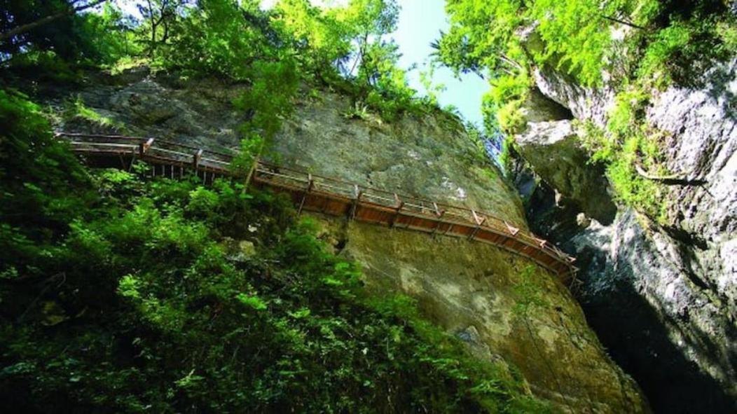 Villa Pokljuka Zgornje Gorje Dış mekan fotoğraf