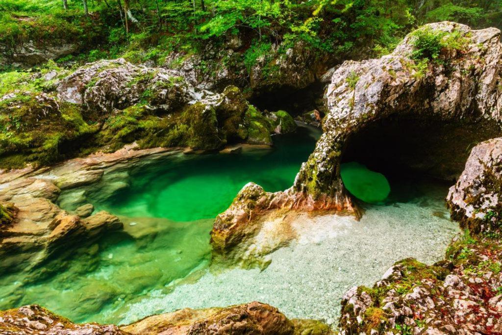 Villa Pokljuka Zgornje Gorje Dış mekan fotoğraf