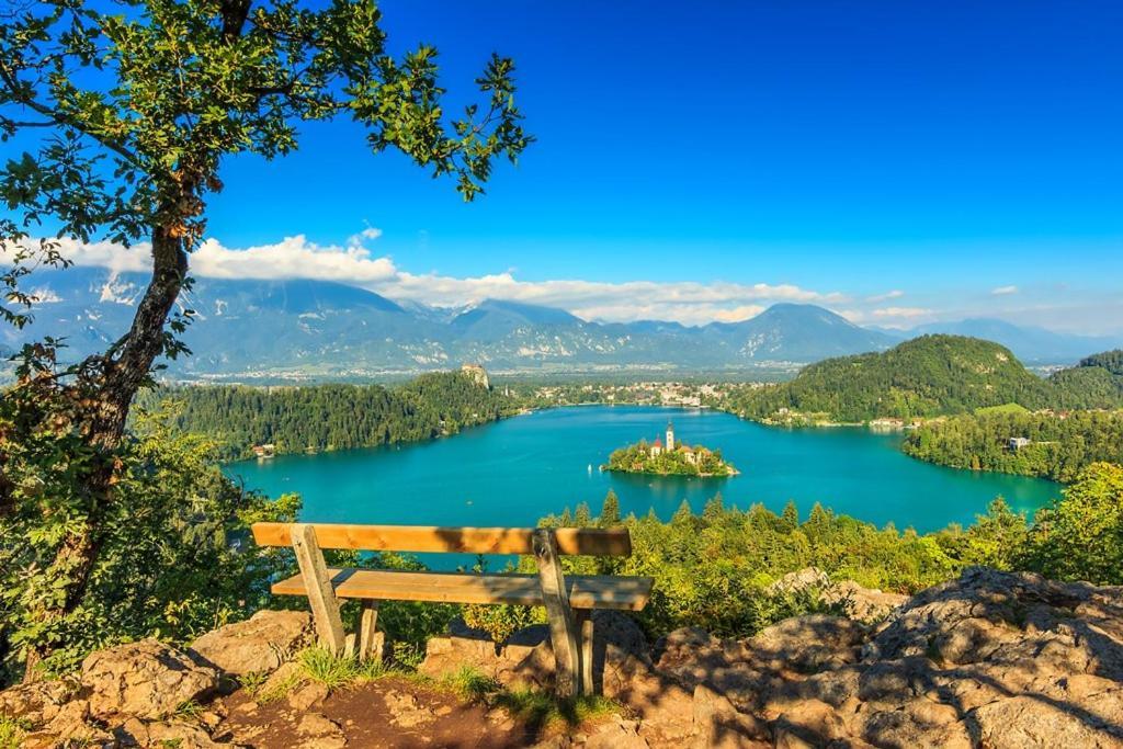 Villa Pokljuka Zgornje Gorje Dış mekan fotoğraf