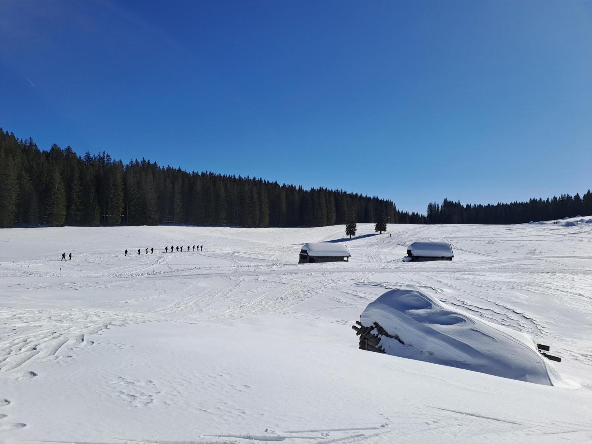 Villa Pokljuka Zgornje Gorje Dış mekan fotoğraf