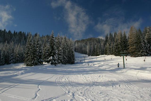 Villa Pokljuka Zgornje Gorje Dış mekan fotoğraf