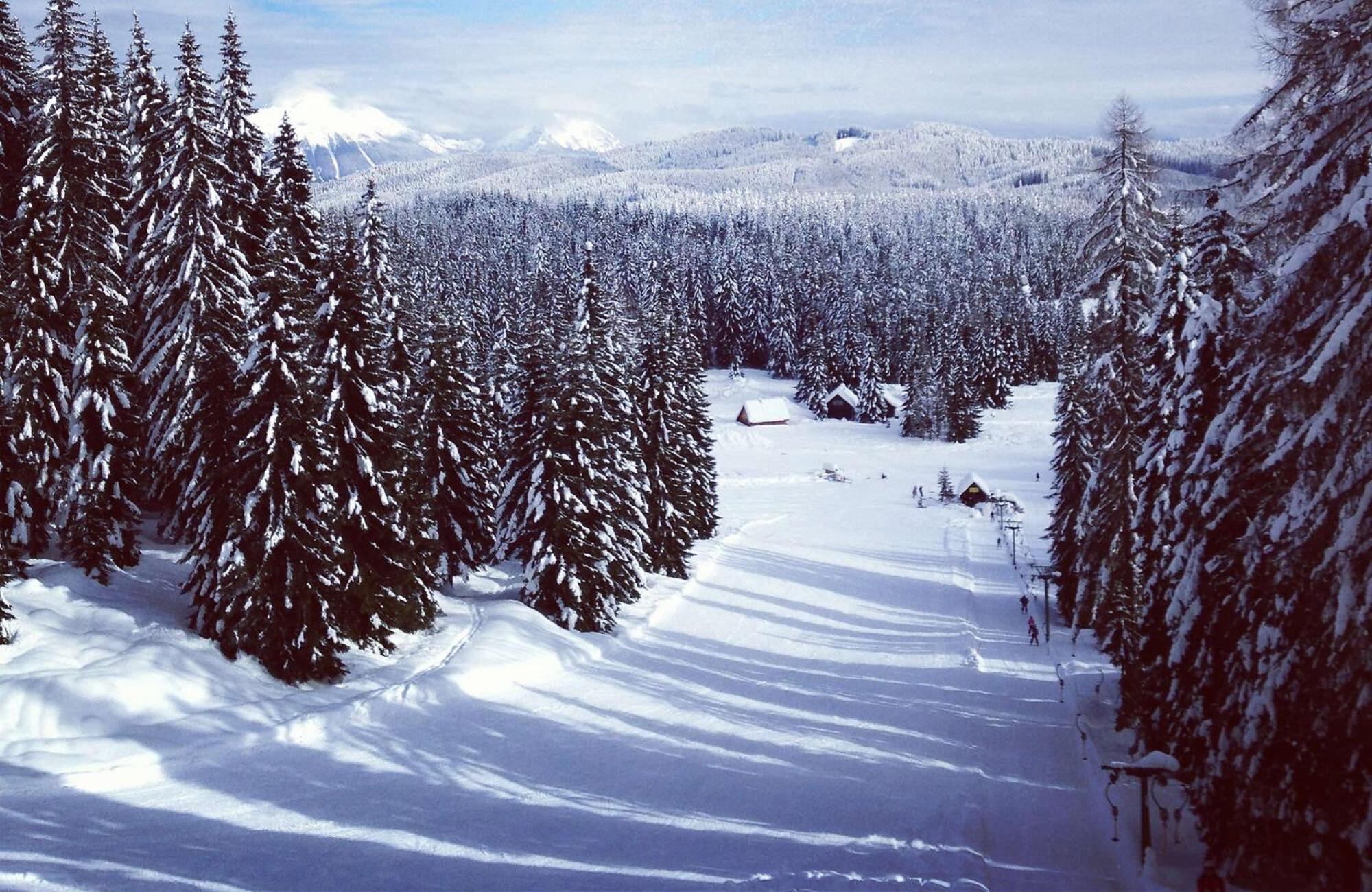 Villa Pokljuka Zgornje Gorje Dış mekan fotoğraf