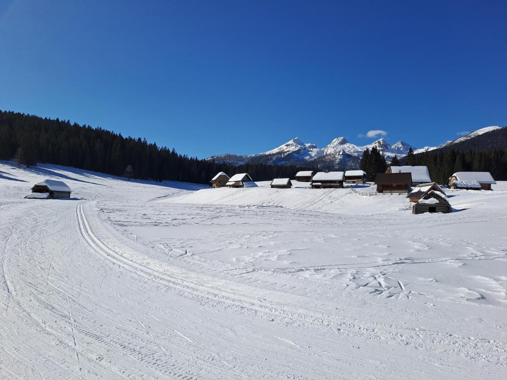 Villa Pokljuka Zgornje Gorje Dış mekan fotoğraf