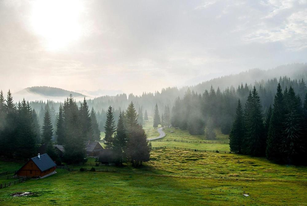 Villa Pokljuka Zgornje Gorje Dış mekan fotoğraf