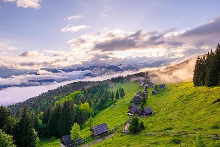 Villa Pokljuka Zgornje Gorje Dış mekan fotoğraf