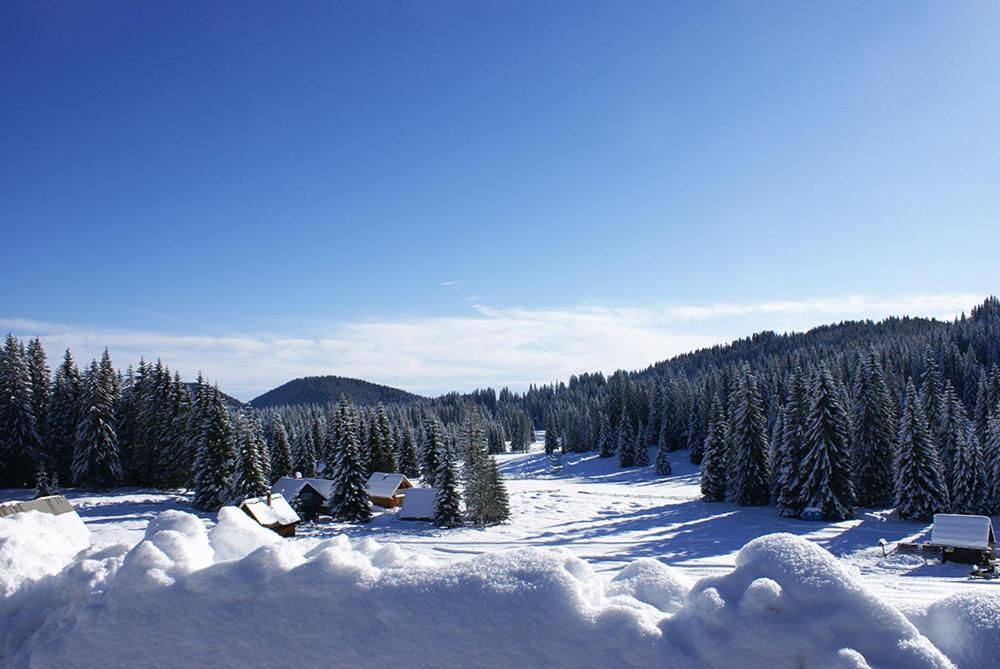 Villa Pokljuka Zgornje Gorje Dış mekan fotoğraf