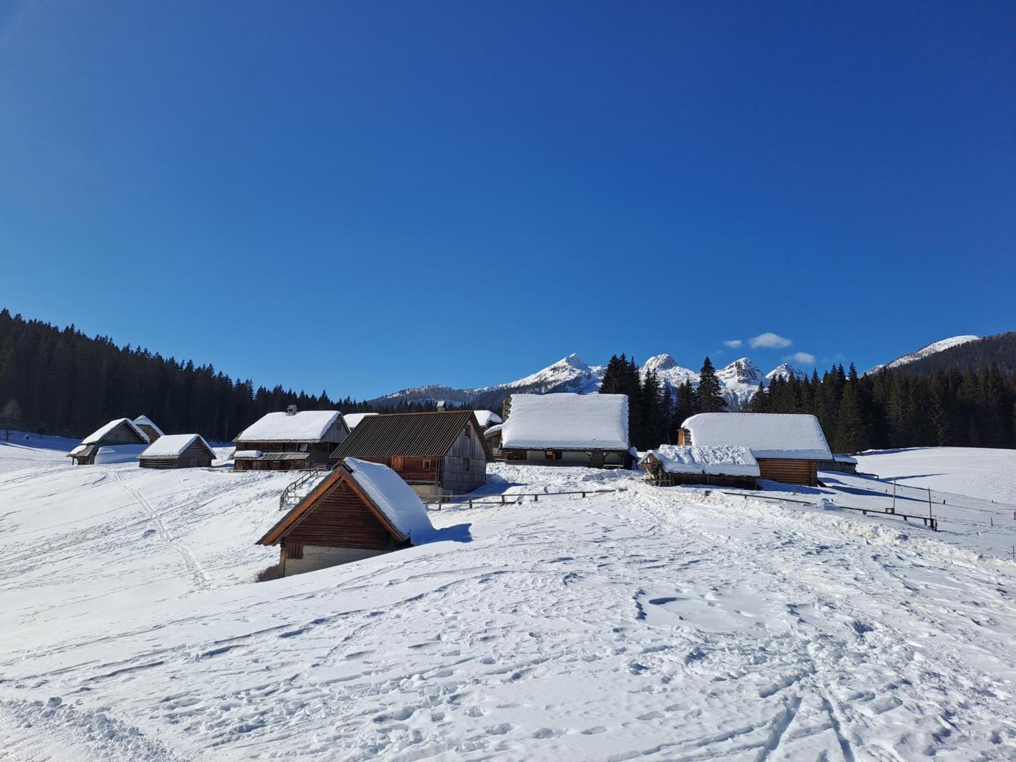 Villa Pokljuka Zgornje Gorje Dış mekan fotoğraf